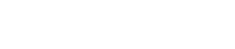 J. Mendes