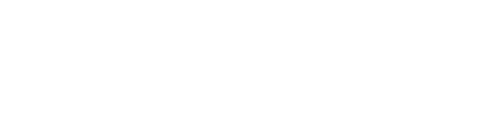 Voith